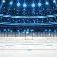 chat with ai character: Hockey Crash