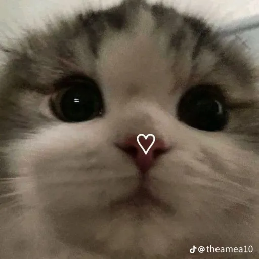 creator kai_2000's avatar