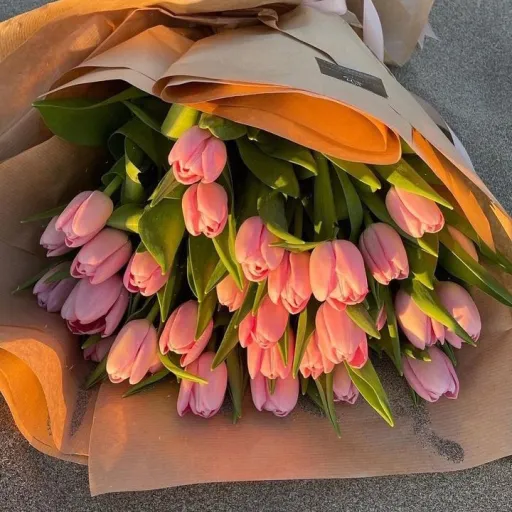 creator Iluvtulips💝💖's avatar