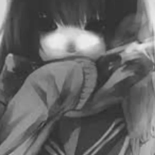 creator ~° ꪑꪗꪊ᭢ꫀỉꪮ °~'s avatar
