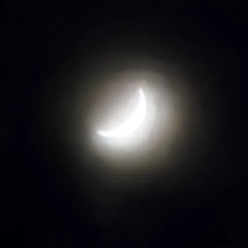 creator MoonMan2's avatar