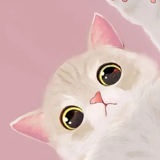 creator Amelia ❀'s avatar
