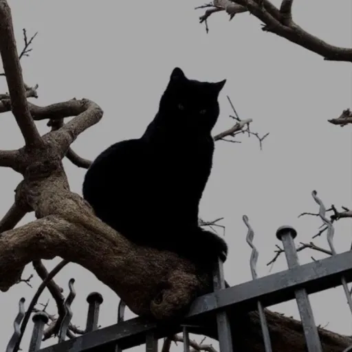 creator 🕸🕷✡𝓢𝓬𝓸𝓻𝓹𝓲𝓸𝓷𝓓𝓮𝓲𝓽𝔂✡🥀's avatar