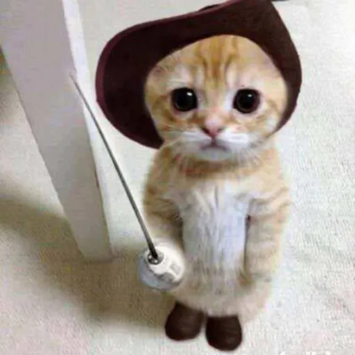 creator eva365866's avatar