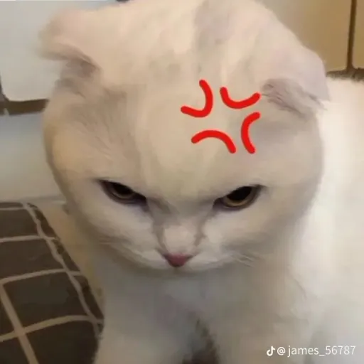 creator Hannah hoshino's avatar