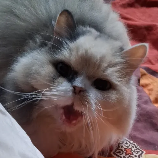 creator da_idi0t_Germany🇩🇪's avatar