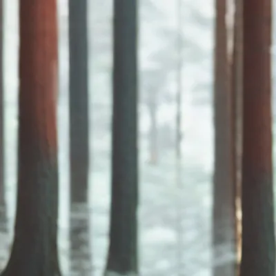 chat with ai character: Forest of idk