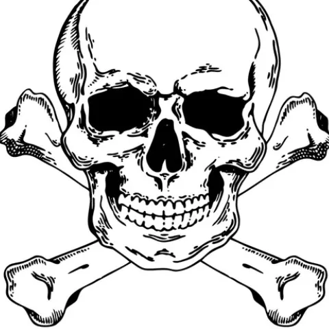 creator Skeleton boy 124's avatar