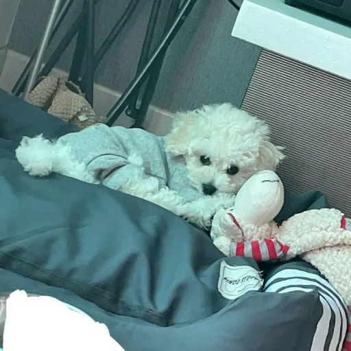 creator Straykids lover1's avatar