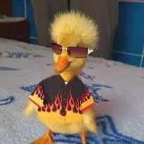 creator Stuart the Duck's avatar