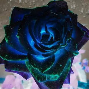 creator 🖤paintedflame🔥's avatar