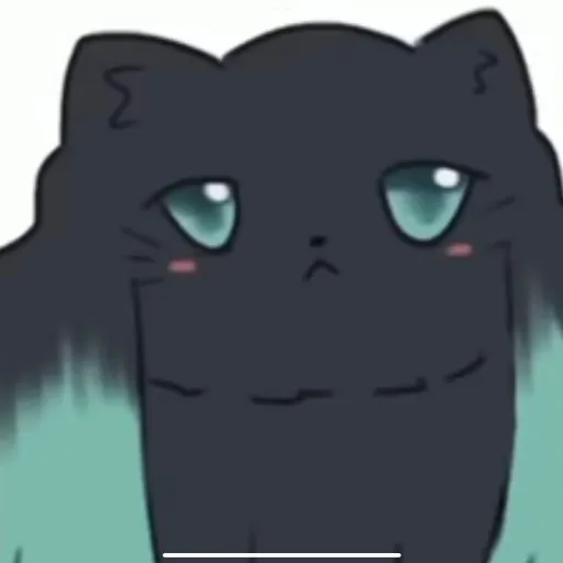 creator Muichiro as a cat's avatar