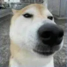 creator Thespikelover69's avatar
