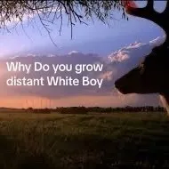 creator oughoofowiemybones's avatar