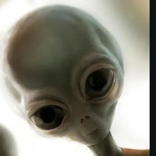 creator ooWALLYoo's avatar