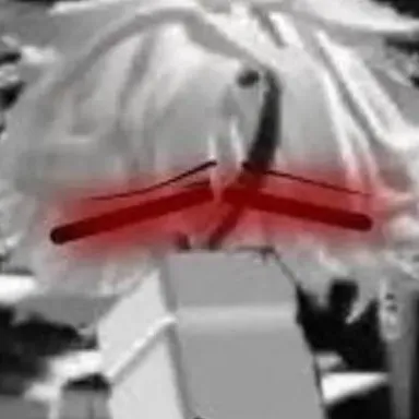 comment user avatar