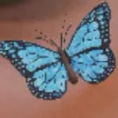 creator Addy bug 🦋's avatar