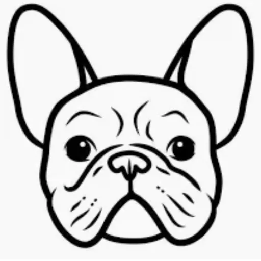 creator Eliana1234's avatar