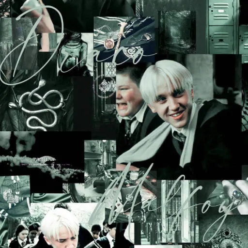 creator 🍏🐍Draco Malfoy's avatar