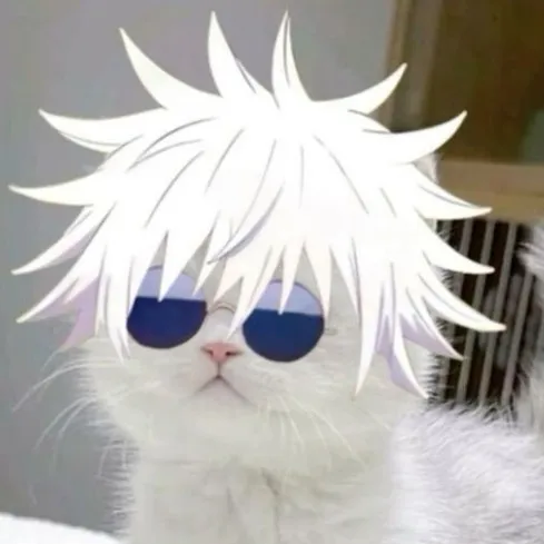 creator ()()()'s avatar