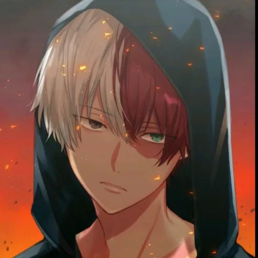 creator shoto_tododoki's avatar