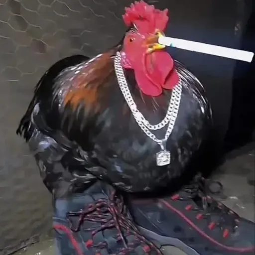 creator StinkyBalls's avatar