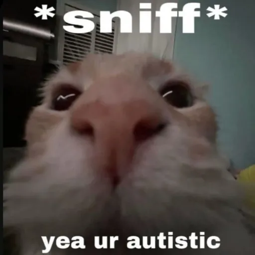 creator That one autistic's avatar