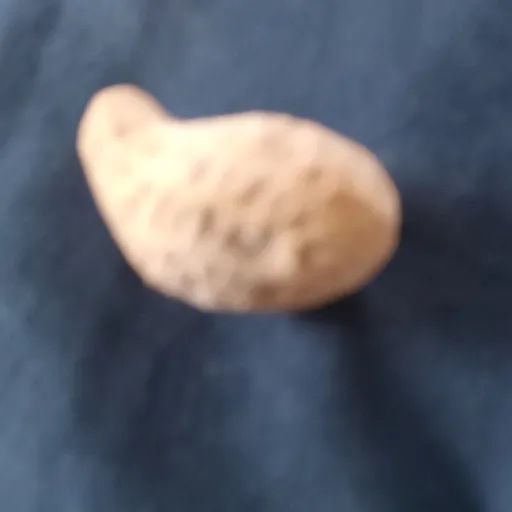 creator big nut 1234's avatar