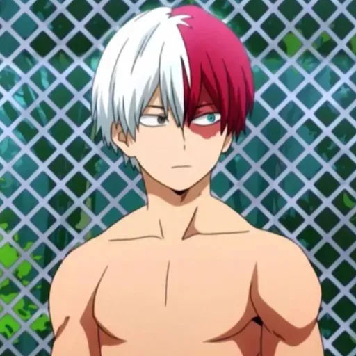 creator Todoroki simp :)'s avatar