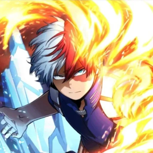 creator the_shoto_Todoroki's avatar