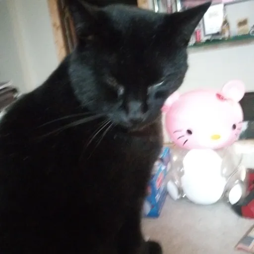 creator Emb3rlyπ's avatar