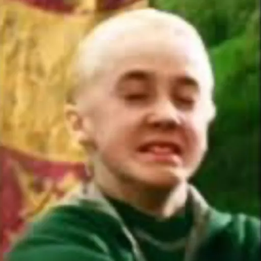 creator Draco Malfoy 🪄💚's avatar