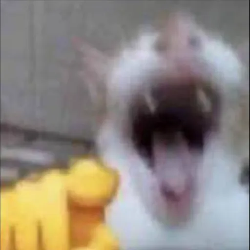 creator YOUR CAT AT 3:00AM's avatar