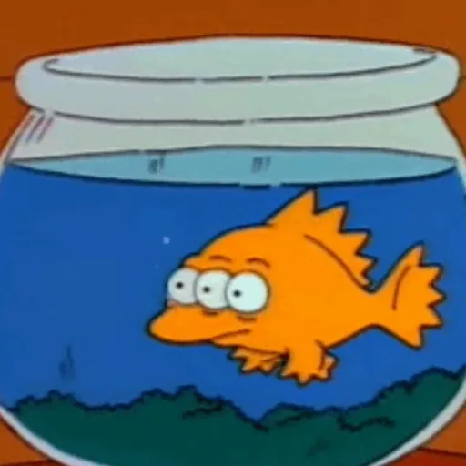 creator THE ADMIN-(Romeo)'s avatar