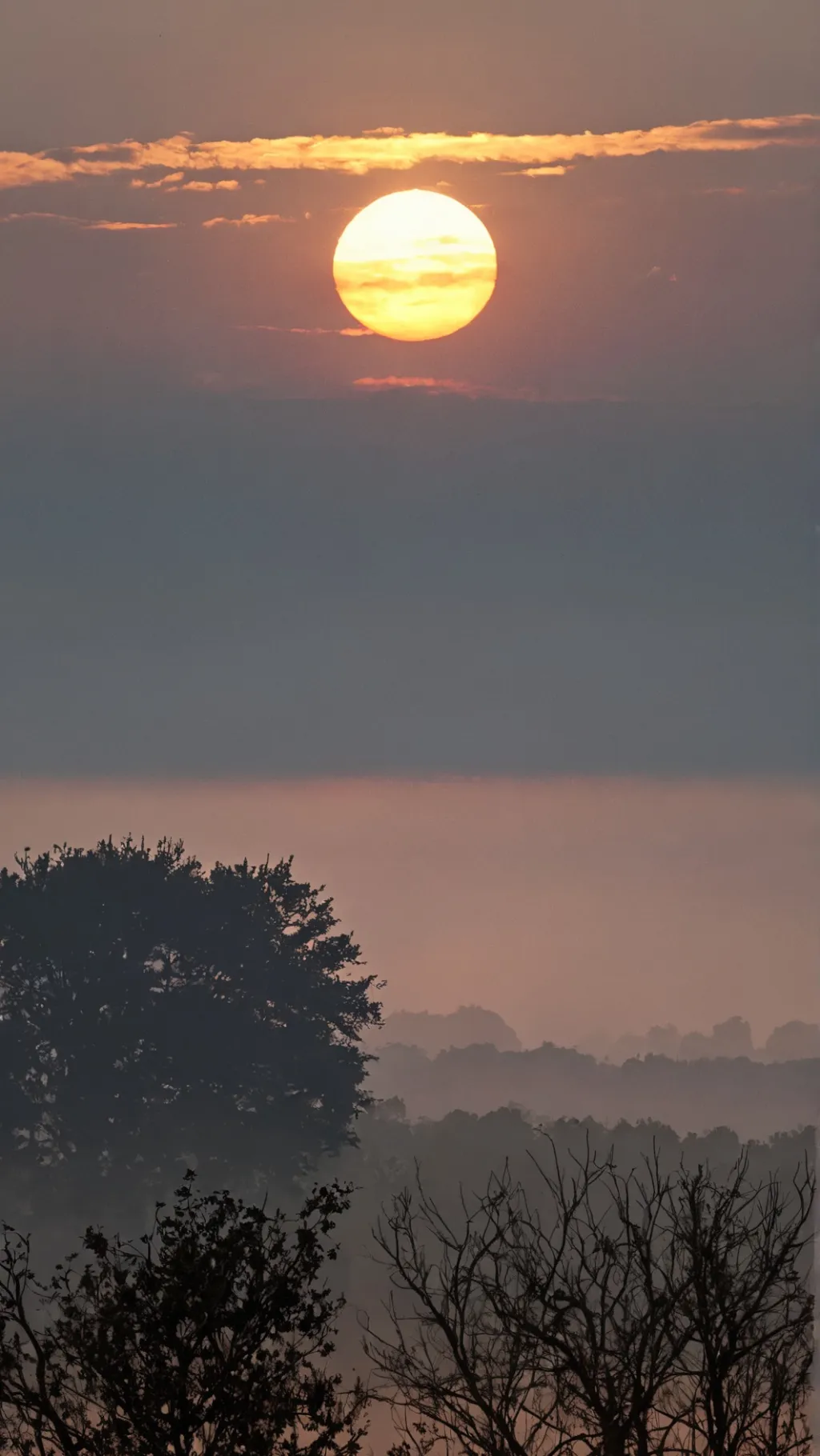 ai character: Snowflake anRaven  background