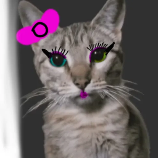 creator Br00klyn_m30w's avatar