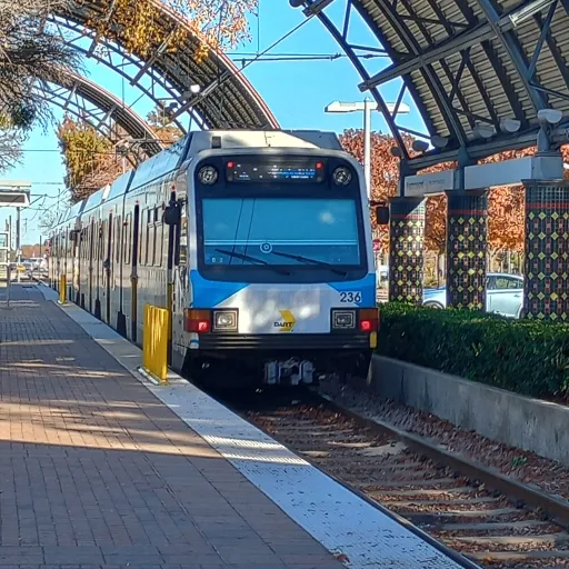 creator Vox the love woman's avatar