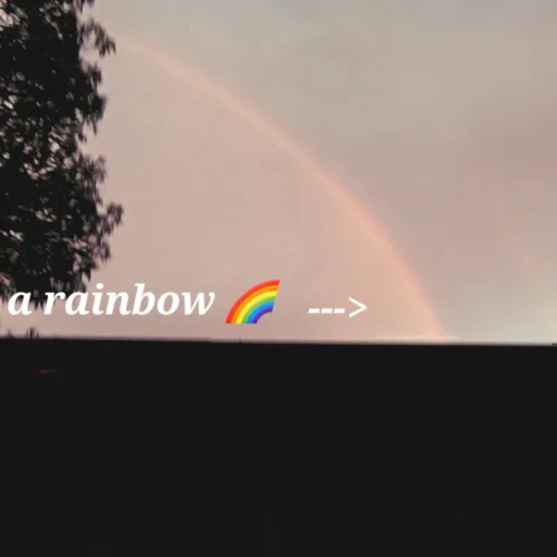 creator Danvas the rainbow's avatar