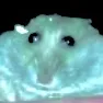 creator Randomperson4119's avatar