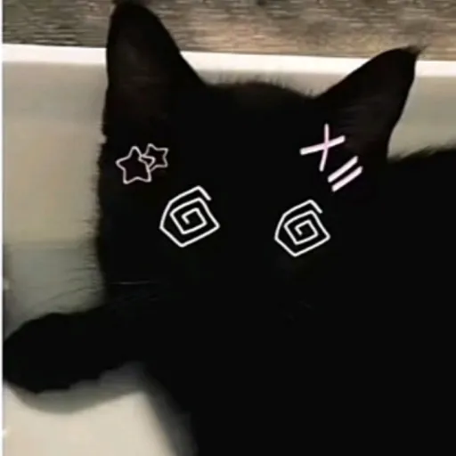 creator ✝️💯😁𓆩♡𓆪⋆. 𐙚 ˚😁💯✝️'s avatar