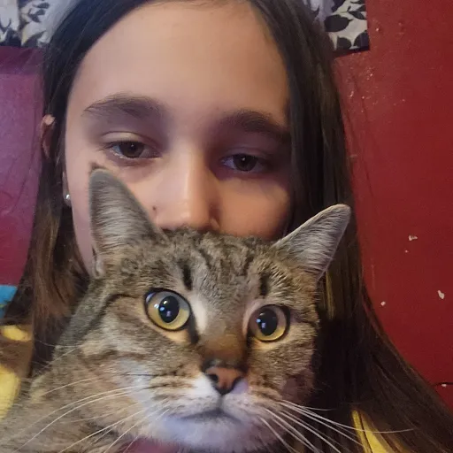 creator arabella🐱🐱🐱's avatar
