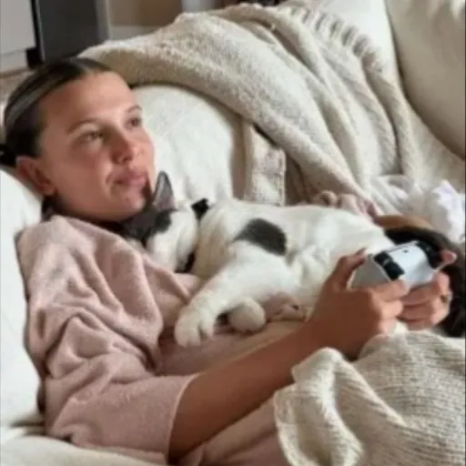 talkie's author avatar