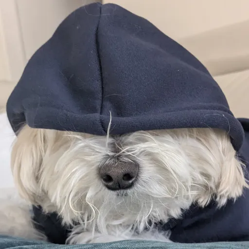 creator Vmxrellexx's avatar