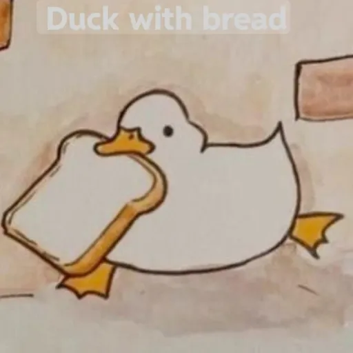 creator °duck°'s avatar