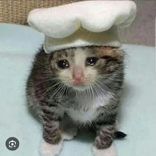 creator cook with me🥲's avatar