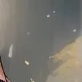 creator Kasean178's avatar