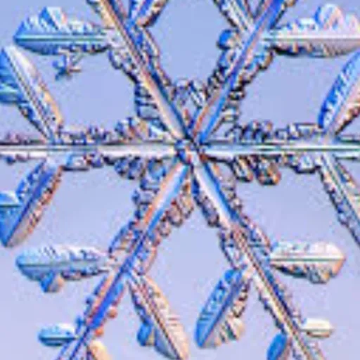 creator snowy god of snow's avatar