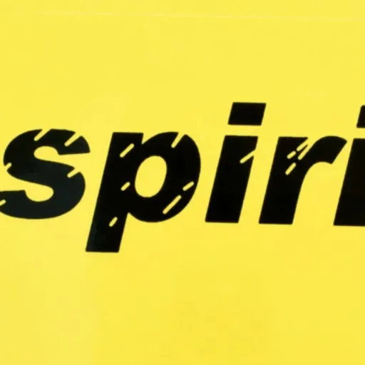 creator SPIRIT AIRLINES's avatar