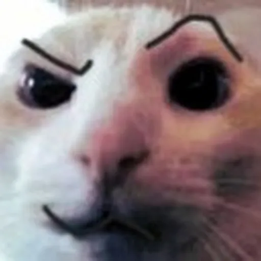 creator Dogahacker_1427's avatar