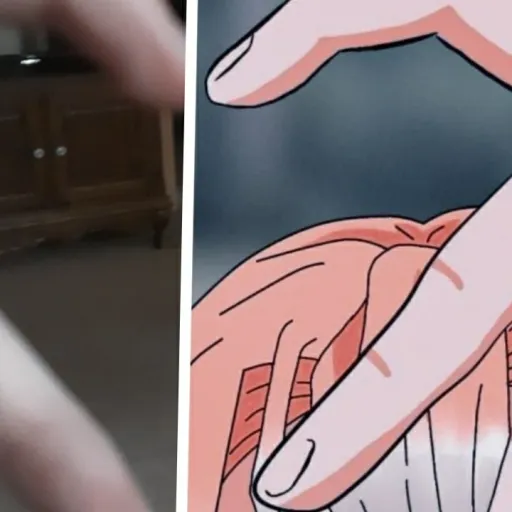 creator •♡<Akari_koi>♡•'s avatar